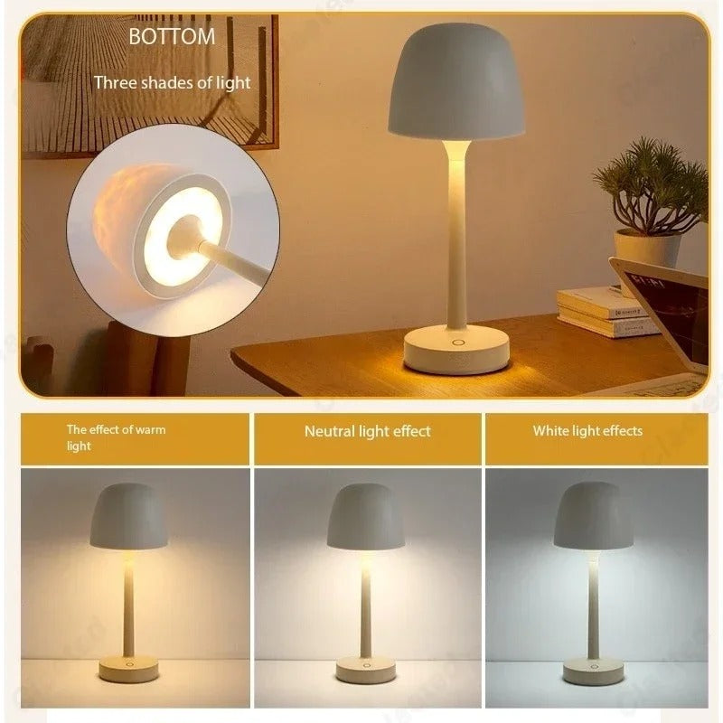 Crystal (Aurora-Radiance) Lamp
